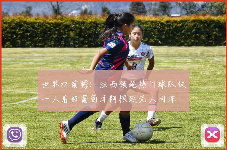 世界杯前瞻：法西领跑热门球队仅一人看好葡萄牙阿根廷无人问津